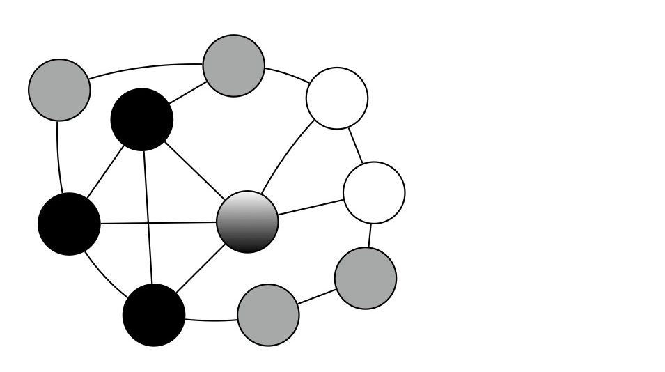 Fleur zeldenrust workshop on biological network analysis